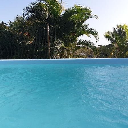 Le Goyav' Appart Avec Piscine Et Jacuzzi Au Vauclin Le Vauclin Kültér fotó